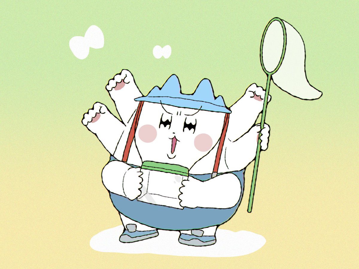 maciomoci's tweet photo. 今日から7月だ！お天気が良いので虫取りにいきます✌️😼✌️🪲🦋 https://t.co/9IUlASdouU