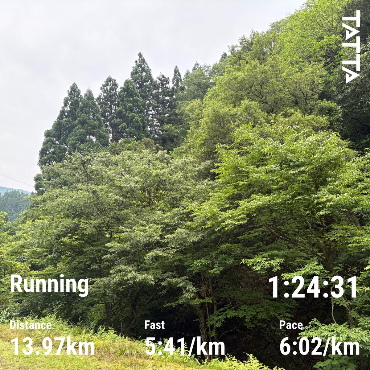 daichi_nkn's tweet photo. 天気が崩れてくる前に走ってきました。平日に1回追加で走れると、精神的にも体力的にもいい感じです😄うまくバランスを取りながら、走る時間は確保したいなと思う。

2026/7/1 (水) 13:28の写真投稿#TATTA https://t.co/eCzFanFMPQ