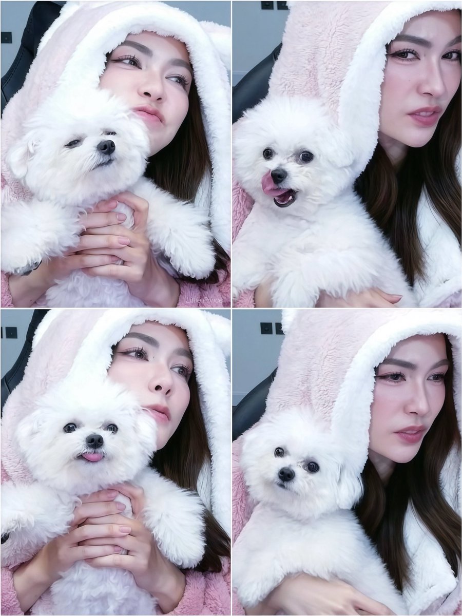 littleprince_21's tweet photo. - * เต้าหู้ กับ มะม๊า 🐰🤍✨

SIMPLY BE CHARLOTTE01
#ชาล็อตออสติน #CharlotteAustin
#itsTOFUka 🤏🏻 https://t.co/Mr4Z3RhPFI