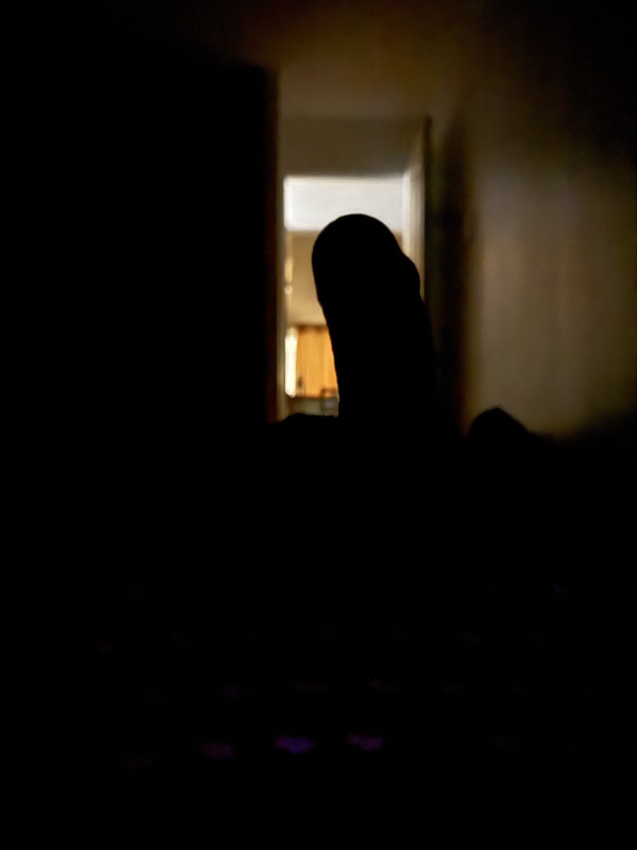 StormvipOF's tweet photo. 👽 
#sex #sexy #twink #nsfw #nsfwtwt 
#morbo #contenido #onlyfans #onlyfan #modelo https://t.co/o4FDrpbdRZ