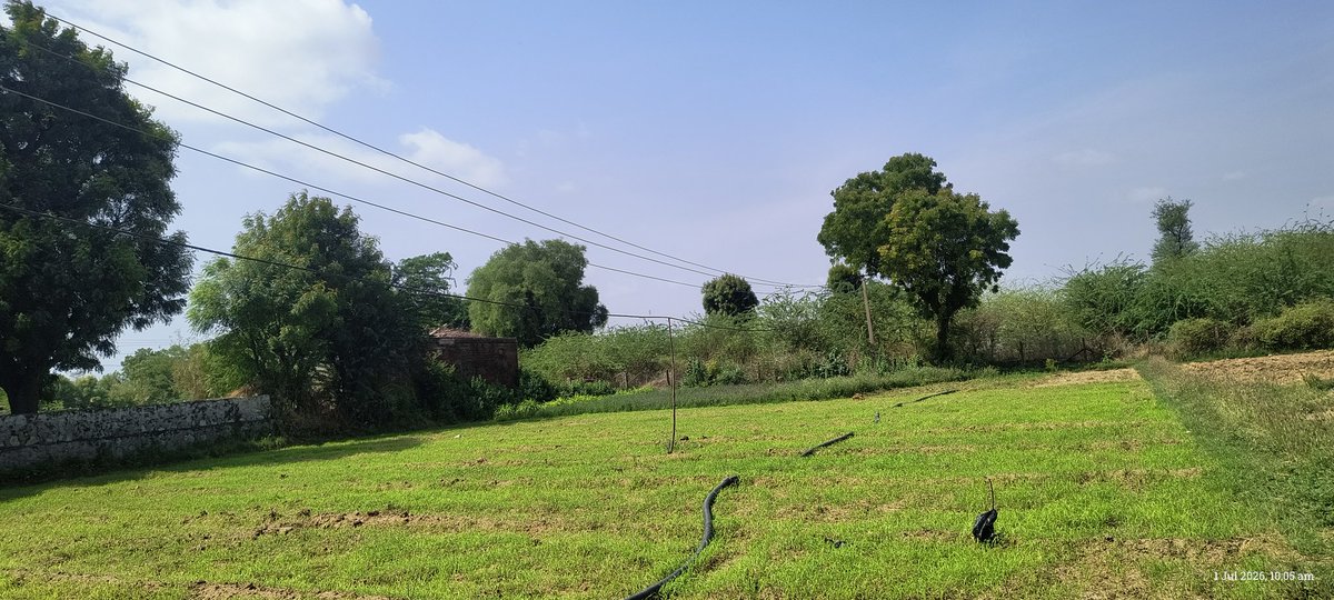 Devendr30247120's tweet photo. @ccc_jdvvnl 
मेरे कृषि भूमि पर विद्युत वायर बहुत नीचे आ चुके है जिसका जल्द से जल���द समाधान करे 
गांव म��रखा जिला पाली तह देसुरी https://t.co/a3b0AUtmG3