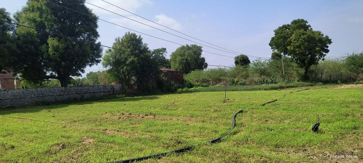 Devendr30247120's tweet photo. @ccc_jdvvnl 
मेरे कृषि भूमि पर विद्युत वायर बहुत नीचे आ चुके है जिसका जल्द से जल���द समाधान करे 
गांव म��रखा जिला पाली तह देसुरी https://t.co/a3b0AUtmG3