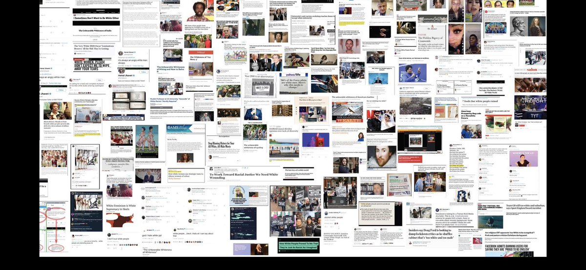 LuceAppreciator's tweet photo. @AmerPhilo2025 Collage of completely serious anti-white hatred articles. https://t.co/uKtB7WCuff