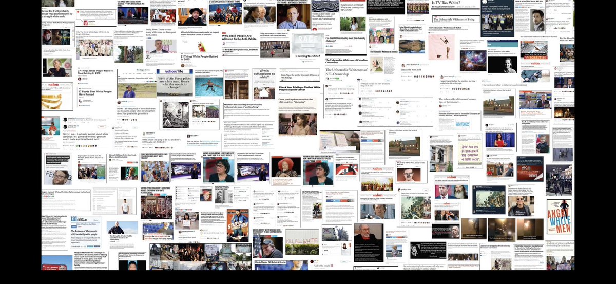 LuceAppreciator's tweet photo. @AmerPhilo2025 Collage of completely serious anti-white hatred articles. https://t.co/uKtB7WCuff