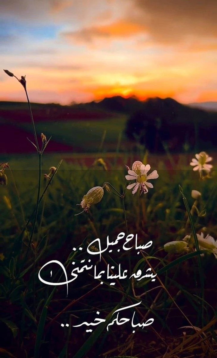 sheraa5's tweet photo. @MunaAlbalushi21 @abeeralzedjaly https://t.co/Z92pECHIWp