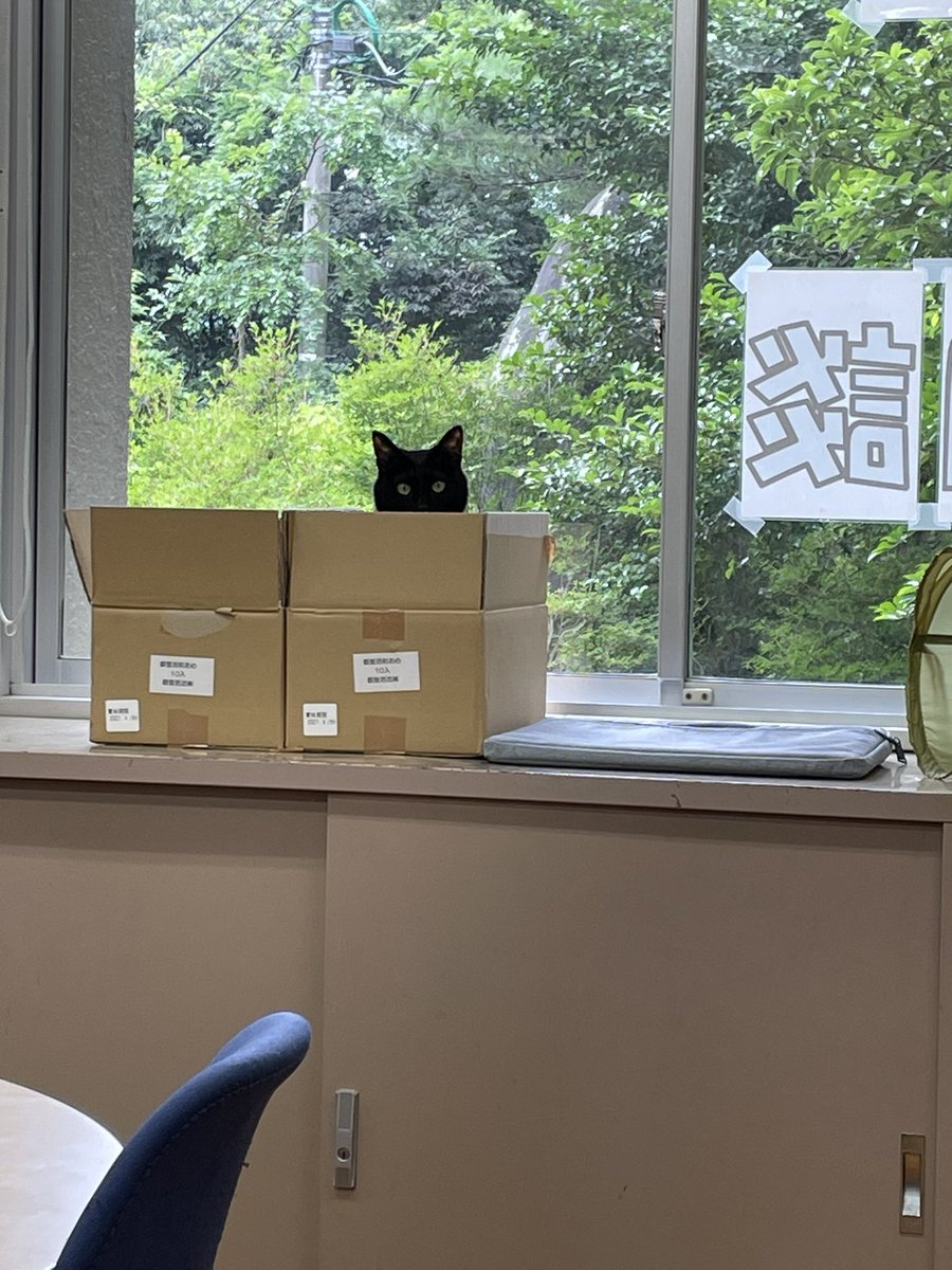 catsandpc's tweet photo. ジッ… https://t.co/jBmhO1SZNO