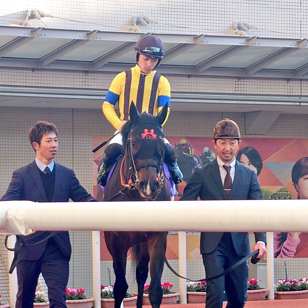 jet_up's tweet photo. ジャンタルマンタル引退ですね
国内マイル戦では無類の強さでした。

4勝したG1の1つ目
朝日杯の時の写真 https://t.co/g6CPG2wtA5