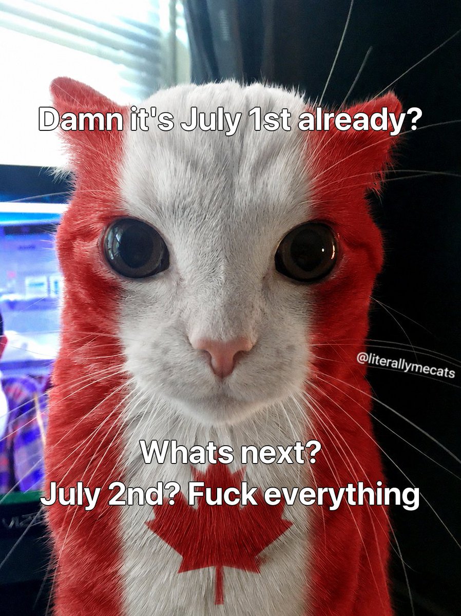 literallymecats's tweet photo. https://t.co/jYGU7sF3pV