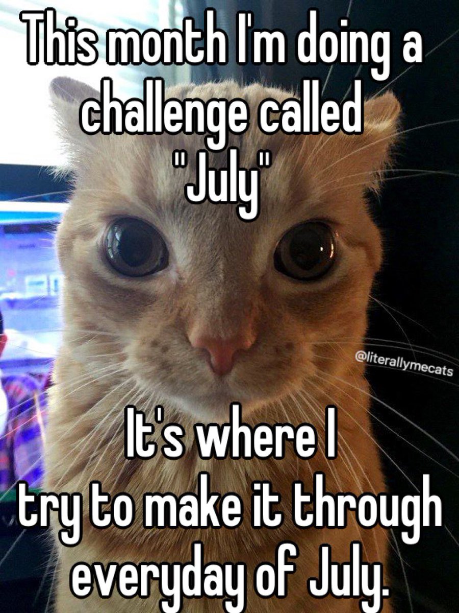 literallymecats's tweet photo. https://t.co/tmfEZAvmT0