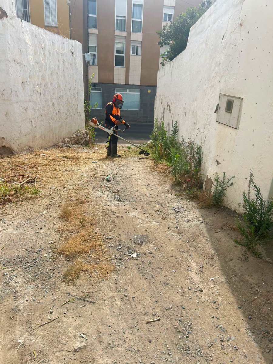 LimpiezaLPGC's tweet photo. LIMPIEZAS ESPECIALES
Actuaciones especiales de limpieza, desbrozado de hierbas (manual y mecanizado), retirada de vertidos ilegales de #trastos, #escombros y #poda en San Lorenzo. https://t.co/lF9dAzYZI0