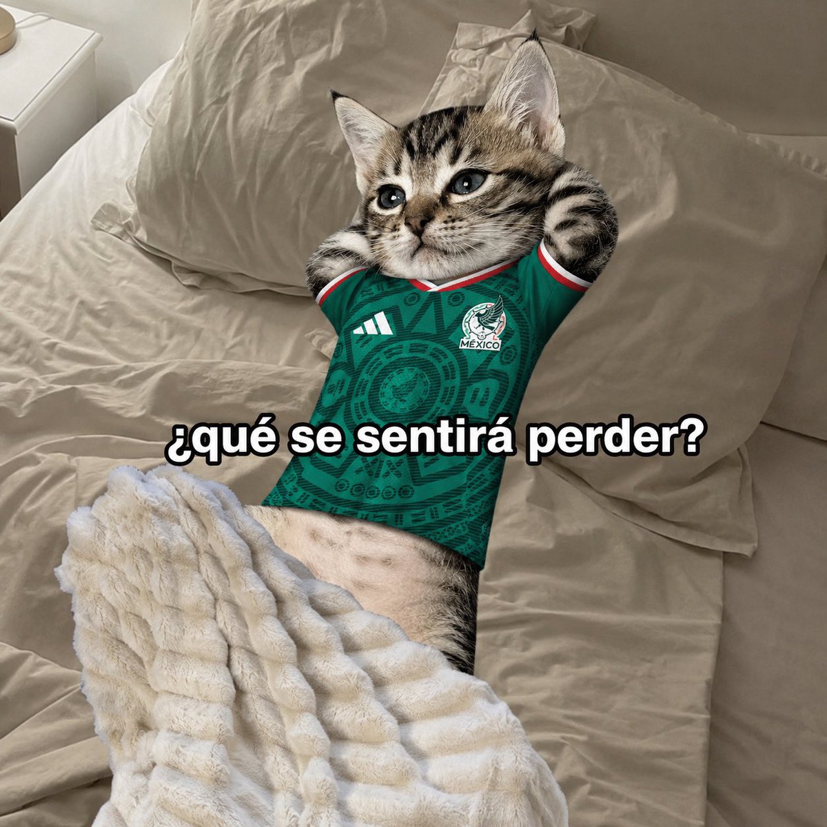 GabTrevi's tweet photo. Tqm mexiquito https://t.co/McuVhrmReJ