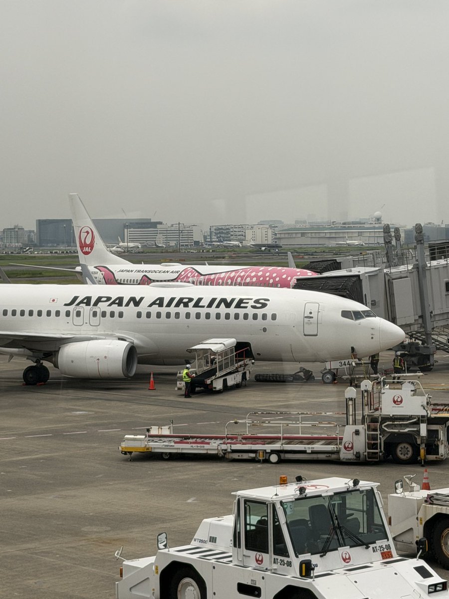 Akiko_FunLife's tweet photo. ピンクコンテナ🩷にピンクジンベエ🩷恋の片道切符？で、移住先へ✈️
#札幌 #転勤 #単身赴任 #ソラマニ https://t.co/OL75FakazH