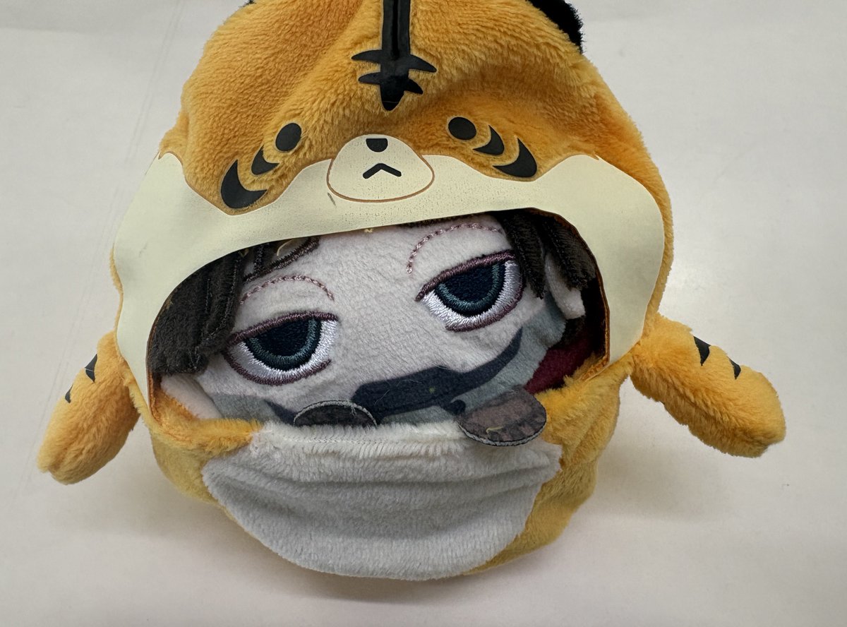 hien__chi's tweet photo. 🦾「がおー」
もちころ🦾くんに虎🐯になっていただきました‼️かわいい‼️ https://t.co/FnD0V7F0HN