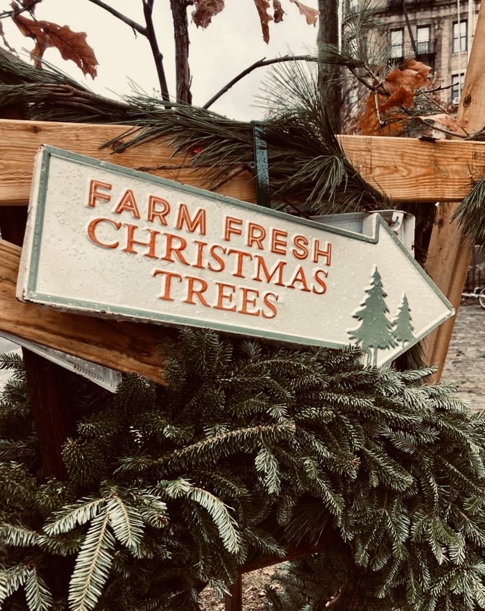 1FicADay's tweet photo. Nothing like spontaneously signing up for a fic fest to get the writing flowing again!

My prompt:
Harry returns to Cheshire after ten years away and discovers Louis still runs the Christmas tree farm where they shared their first kiss.

Coming later this year for @1dholidayff ❤️ https://t.co/TlnSxG7UE0