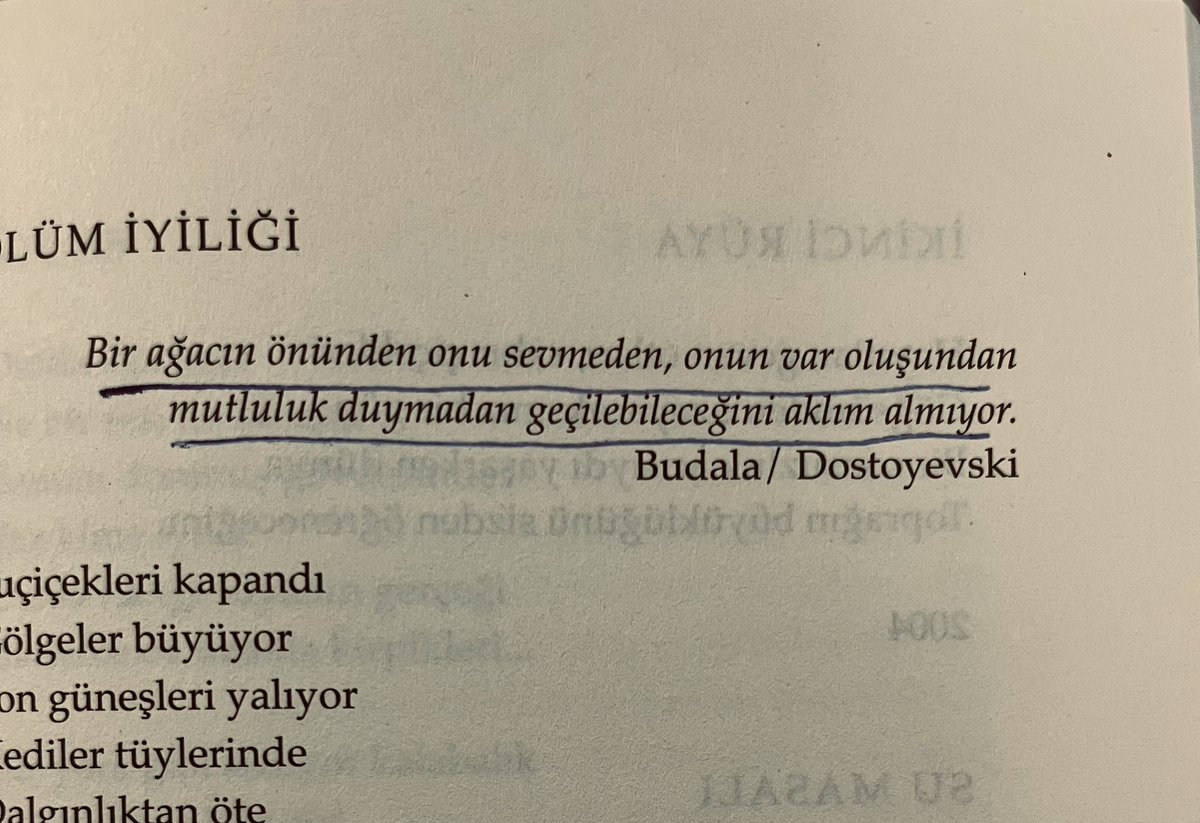 olsunnyyaa's tweet photo. bir ağacın önünden onu sevmeden, onun var oluşundan mutluluk duymadan geçilebileceğini aklım almıyor.

budala/ dostoyevski https://t.co/hvQl4z5xkC