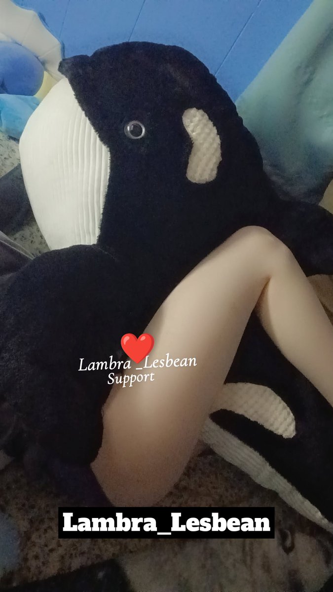Lambra_Support's tweet photo. Cuddle buddy xoxo
I love orcas! I wonder if there's an orca plushie bigger than him! (He's 4ft)
#BodyDysmorphia #lesbian #xoxo #pretty? #selfhating #lesbian #Goddess #fypシ゚viral #fypシ゚ #fypシ゚viralシfypシ゚ #sh #lesbian #lgbq #goddess #pretty? 
!!!#tokophobia!!! 
(New photo) https://t.co/RwhICh63JG