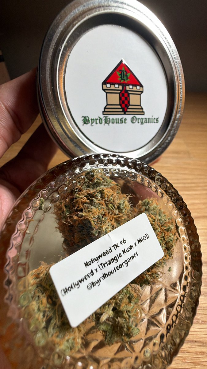 TheGoodFellasNJ's tweet photo. Hollyweed TK# 6
By @ByrdHouseOrgnx @BurninxByrd 

Cannot get enough of this one🤦🏽
If you didn’t get the chance to grab some this round, don’t worry we got some more coming soon🙏🏽An absolute beauty of a plant,The ones who got lucky and got tto snag some definitely in for a treat, really hope yall enjoy 🙏🏽