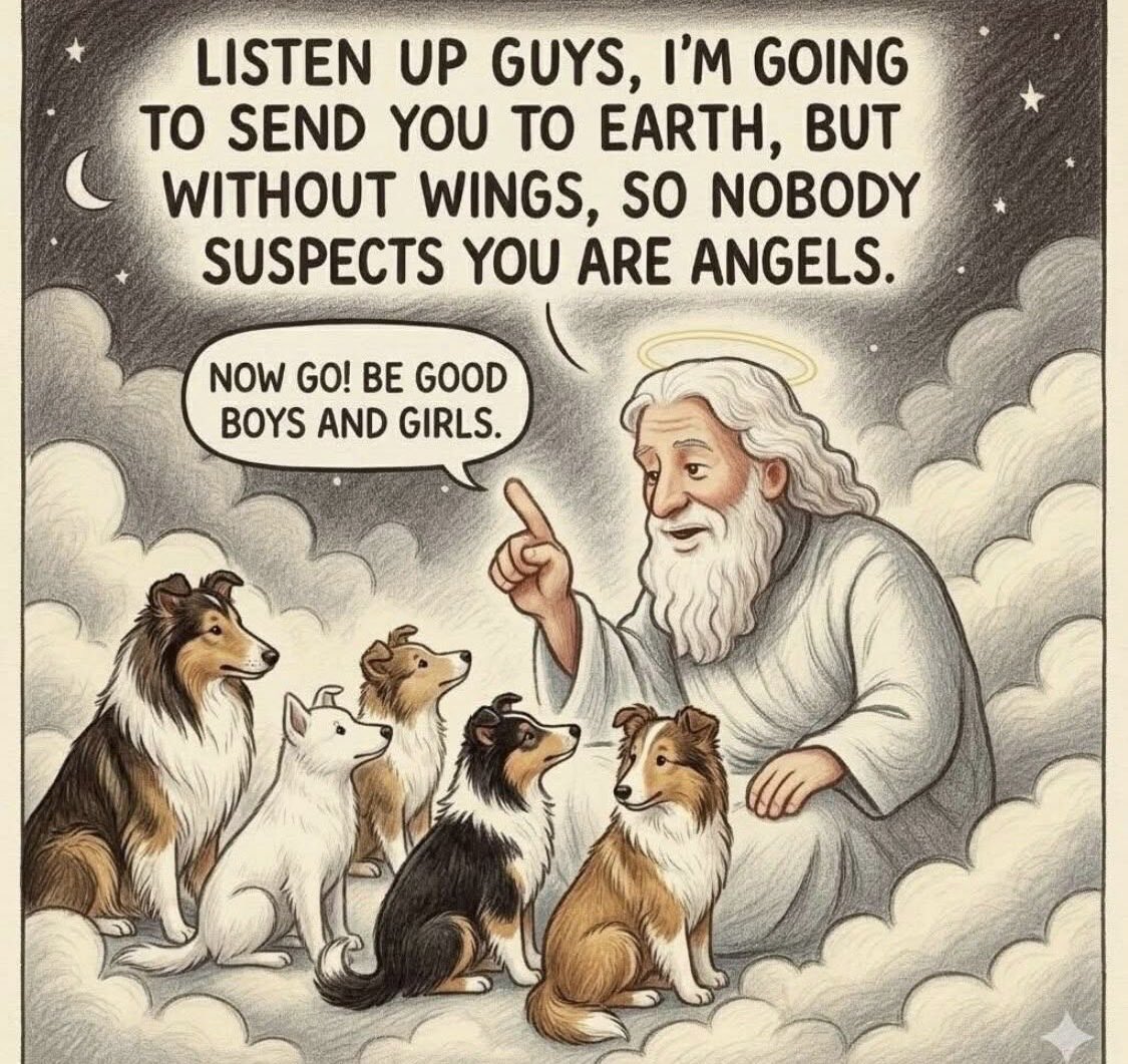 2StefanMoore's tweet photo. Ain’t that the truth… https://t.co/boi43KcJ2l