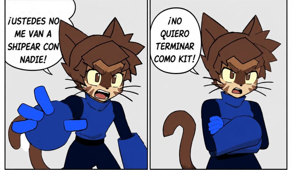 Kairo The cat tweet media