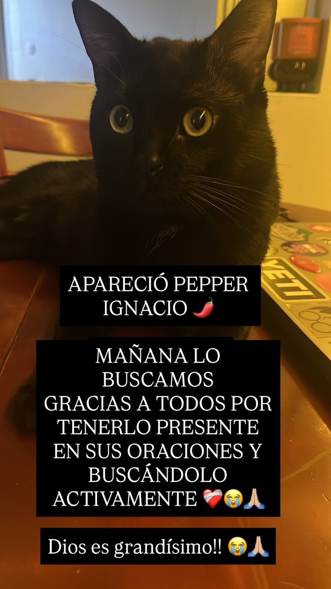 BarbsBriceno's tweet photo. GRACIAS A TODOS POR SU DIFUSIÓN Y ESTAR TAN PENDIENTES DIOS LOS BENDIGA Y PROTEJA SIEMPRE 🙏🏼❤️‍🩹😭 https://t.co/1JGnAKXNK5