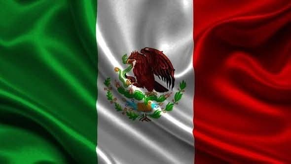 lalysher's tweet photo. Me voy a dormir, extaciada, orgullosa.
#Mexico 
#Morelos https://t.co/HaLVSTc6DJ