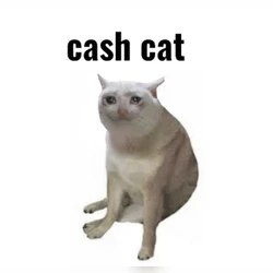 pnpm0x's tweet photo. @vladtenev @ShivVerma 😼 https://t.co/DKRheVtZQ3