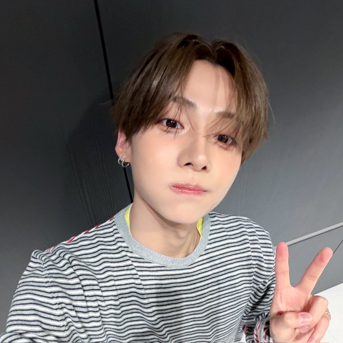 땅 tweet media