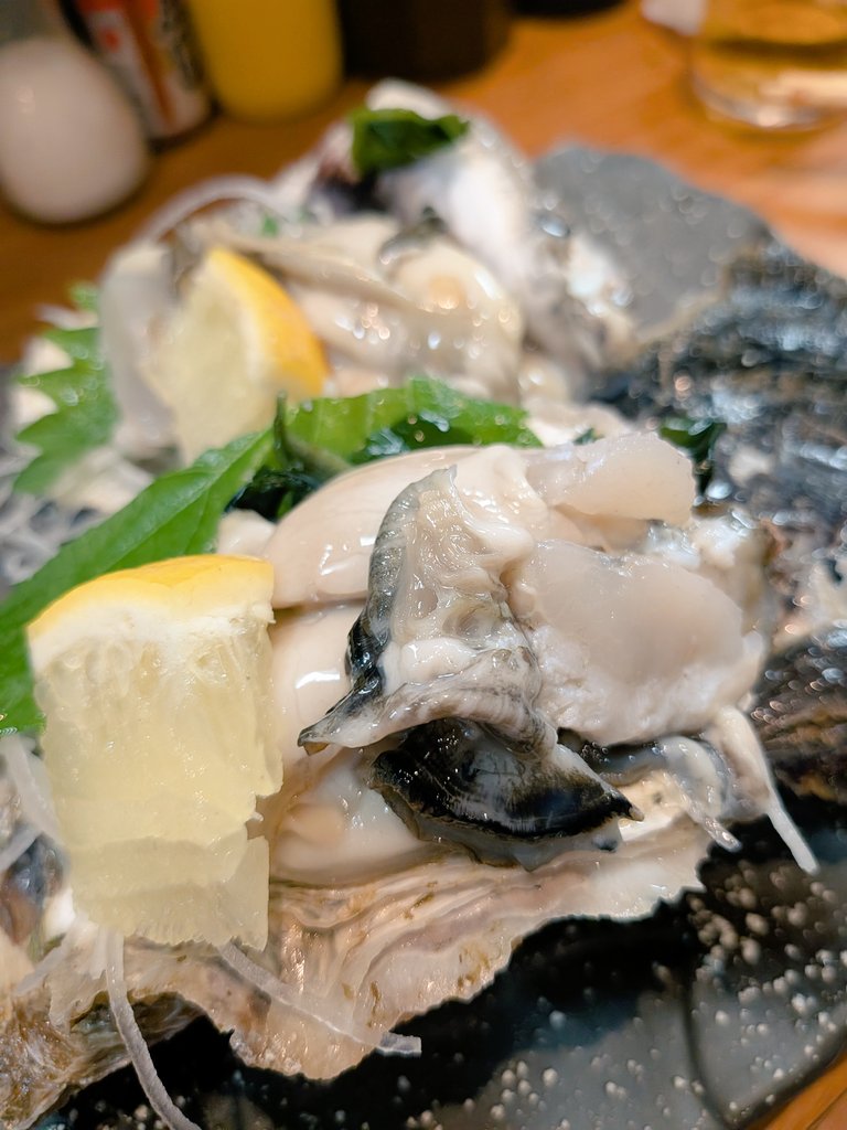 MiwaTaka's tweet photo. 今日はこやつと天王寺の森田屋🍻🍻🍻
生牡蠣めちゃウマ〜😋😋😋 https://t.co/VfDjSJj0Y7