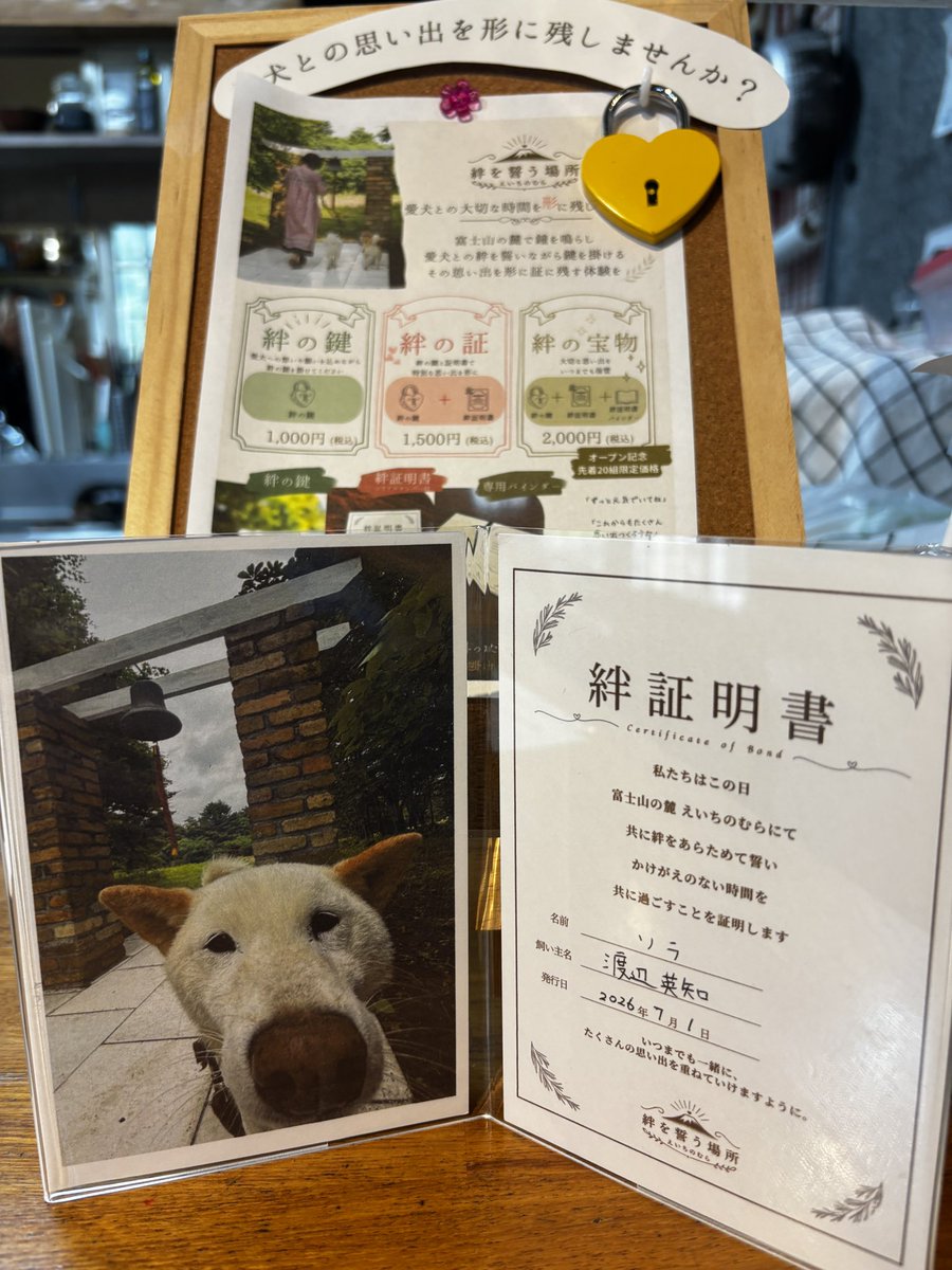daichan_223go's tweet photo. サンプル掲示しました🐶 https://t.co/bPzXB6q0KC