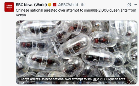 Calvados_484's tweet photo. Please god stop these Chinese people!!
神様、どうかこの中国人を止めてください ! ! https://t.co/sSS3UNQ1vt