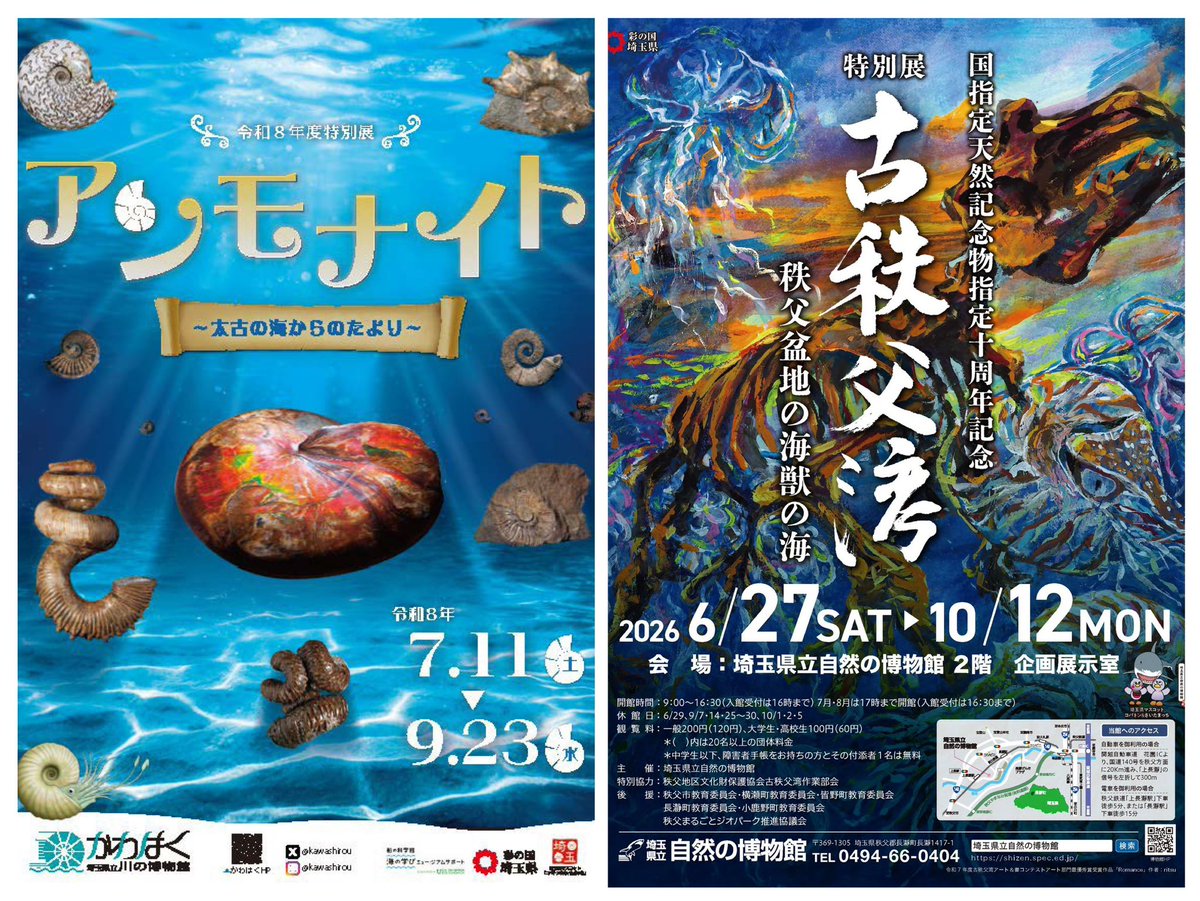 Paleoparadoxian's tweet photo. ほるるまで参加したらもうどこから手をつけていいかわからんぜよ…（笑）

どうなっちゃってるのよ今年は… https://t.co/SaBUXaCdrg