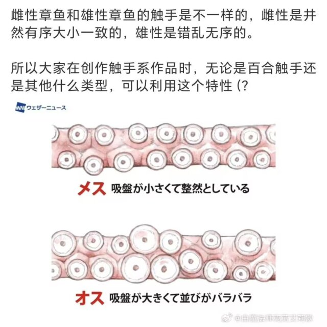 Poca2381's tweet photo. 已严肃学习 https://t.co/ehMBm0bZ6H