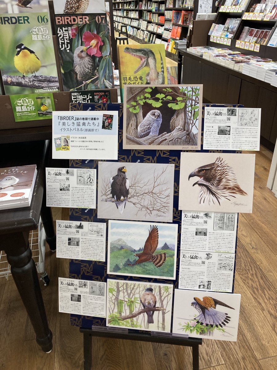 美品【BIRDER 】2023年 丸善京都本店さまで、月刊BIRDERのフェアが開催中です。欲しかった号が