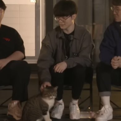 fakerized's tweet photo. Faker’s fav animal being a cat… yes, that’s his twin!! https://t.co/lvyeHjNwB0