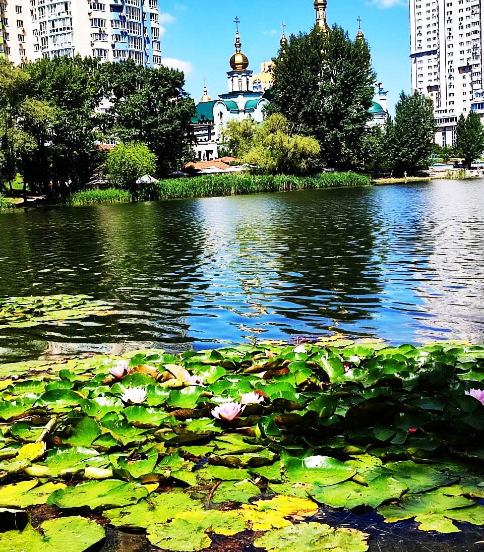 DigitalArtKyiv's tweet photo. The sun over the golden domes, lilies on the water, and a gentle breeze—all this is my Kyiv, sending you wishes for happiness and peace. #KyivMagic #PeacefulSummer #RomanticKyiv #LightOfHope https://t.co/N6zo3J1fD2