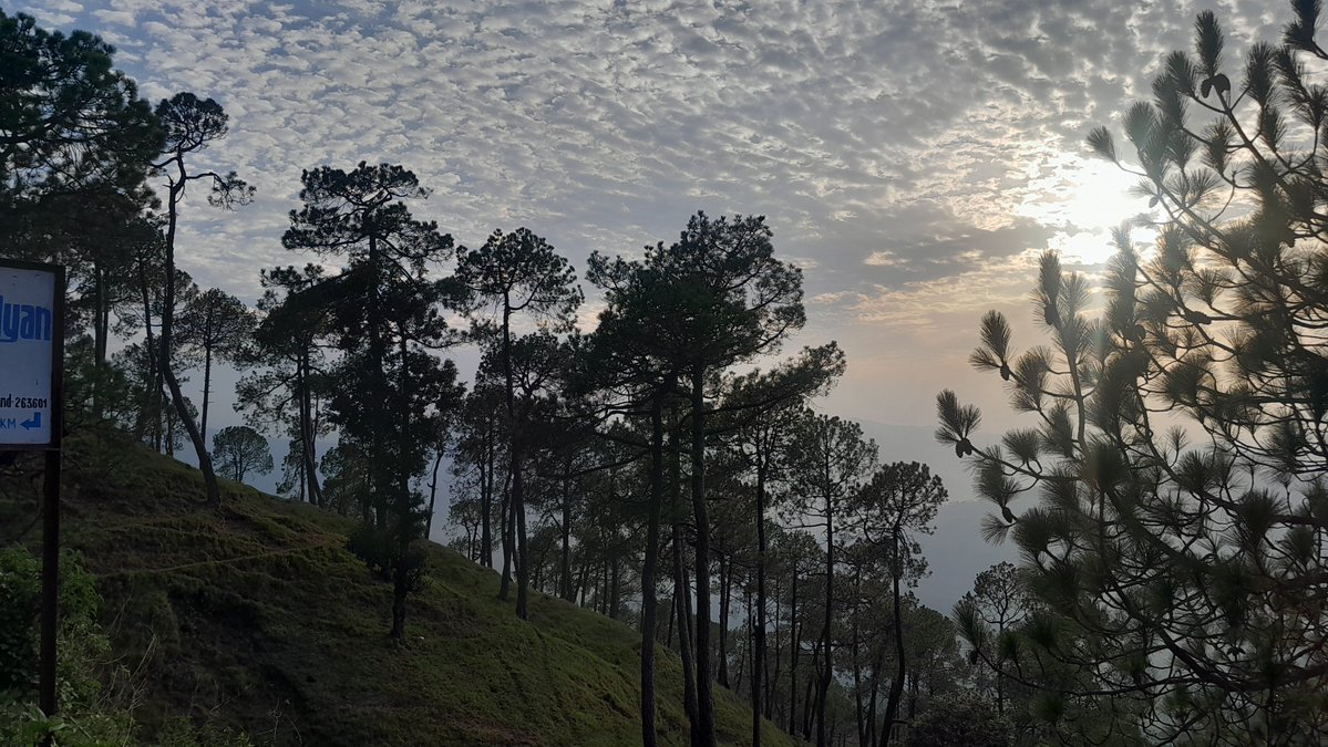 caffeinexanuja's tweet photo. We leave the place, but the place never really leaves us. It stays in our memories, quietly becoming a part of who we are. 🌿
#hills https://t.co/Ukwz5r6QB2