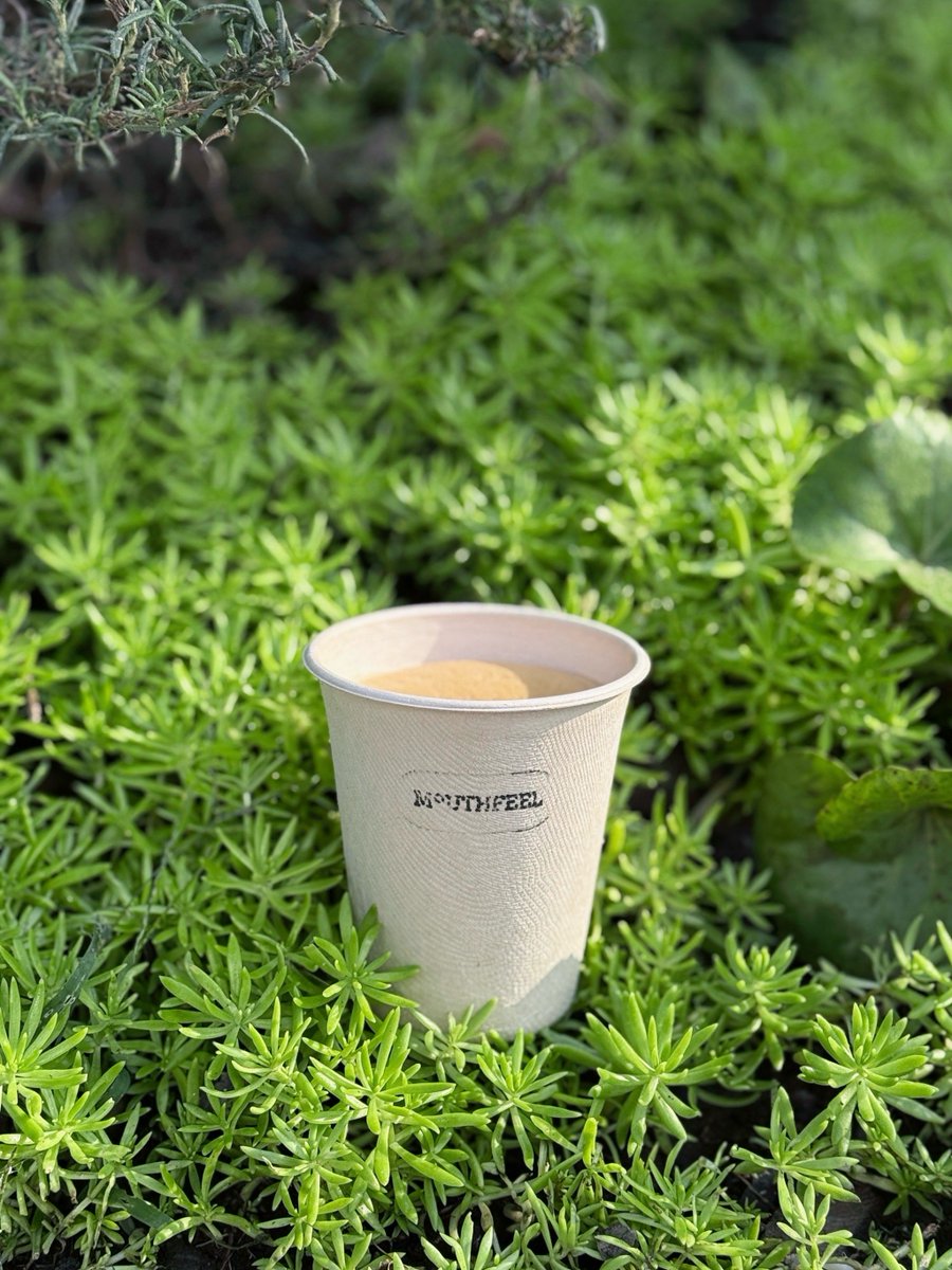 SurajCh19282903's tweet photo. Tried the new neighborhood solar-powered café today! Sipping my iced latte under the tree, watching the sun power the machines around – such a chill, eco-friendly vibe you can actually feel. 10/10 for fresh brews and cleaner energy wins! https://t.co/ixOk6hNqgX