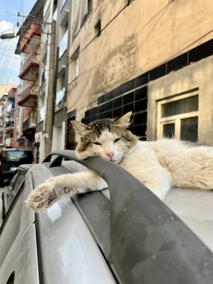 tlqklnc_'s tweet photo. Yanlız Değilim Tek Başımayım 

“İkisi Aynı Şey Değil” 😂

 #Çarşamba #blok3 #partiadıönerim #yenilenmiyor Türk F-16 https://t.co/htmxUC8U2M