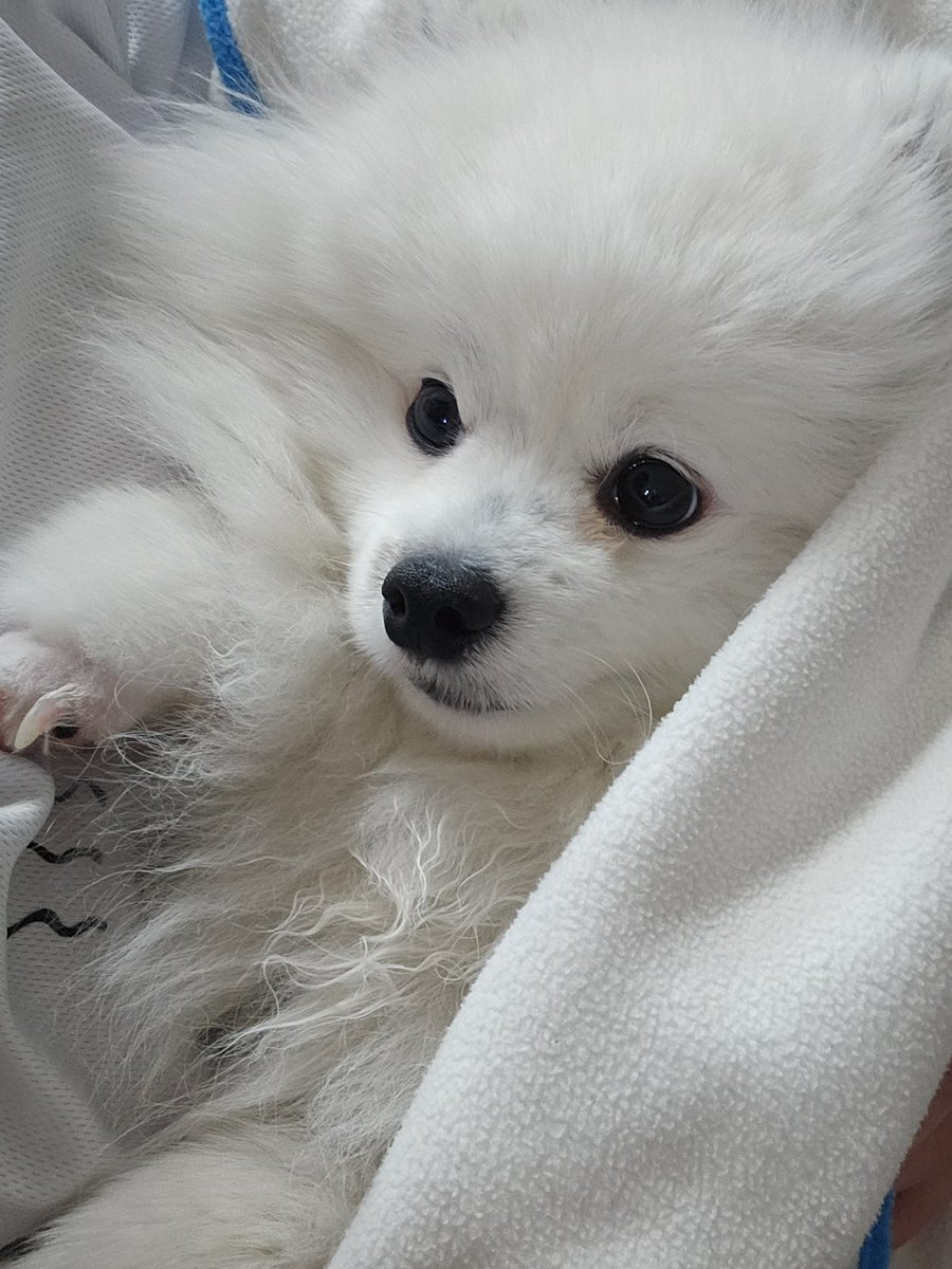 View_rS2mance's tweet photo. 함께야 https://t.co/XzYvMU8cdL