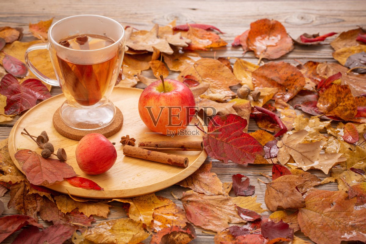 Altynbek656's tweet photo. It’s our little community’s harvest festival tonight! Crunchy apples, warm cider, and laughter shared under string lights—autumn magic at its coziest ， https://t.co/5kVTAD11IC