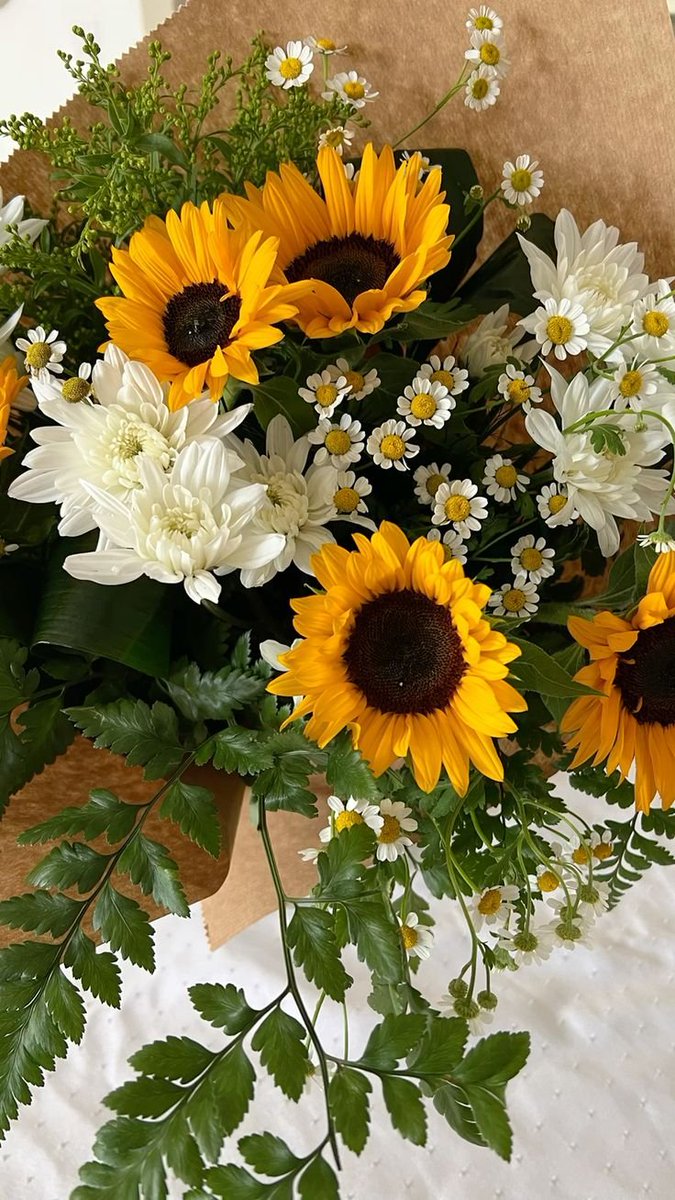 softpetalview's tweet photo. https://t.co/V25MiAMJTE