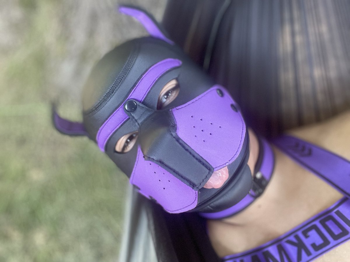 PupGibo's tweet photo. Electric Forest was a blast 💥
#electricforest #pupplay #gay #gaypup #electricforest2026 https://t.co/5BNQ9SbjOG