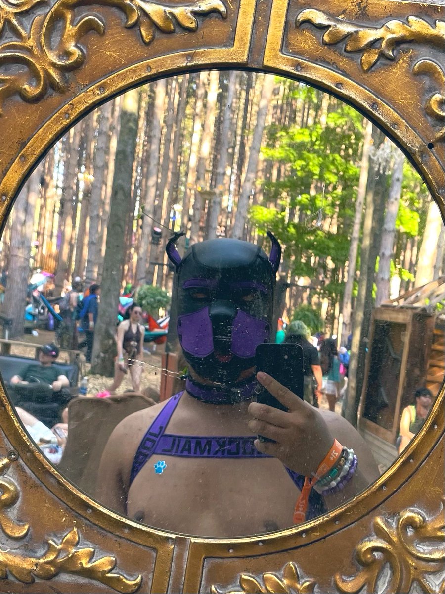 PupGibo's tweet photo. Electric Forest was a blast 💥
#electricforest #pupplay #gay #gaypup #electricforest2026 https://t.co/5BNQ9SbjOG