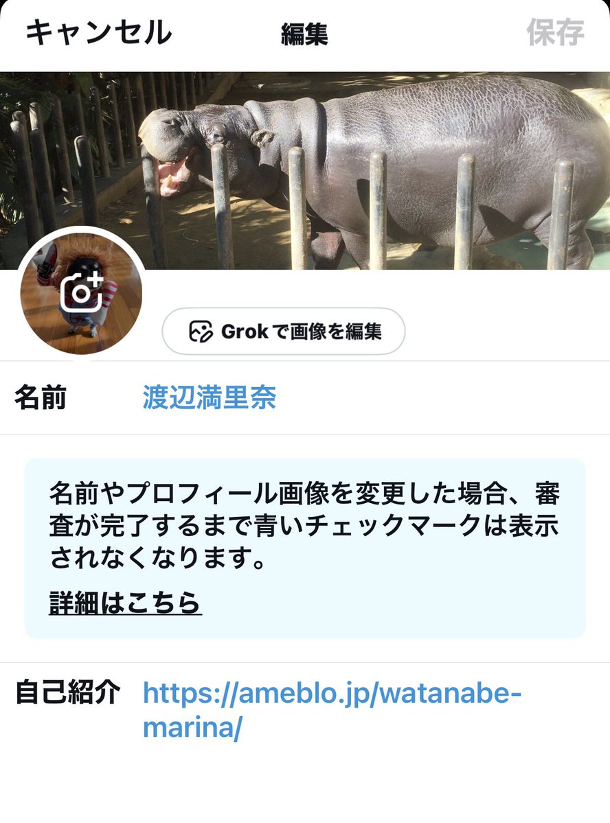 ｍ ～プロフィールお読み下さい〜様おまとめ え………まゆみぃ @mayumih819 にプロフィールのこととか説明してて、自分