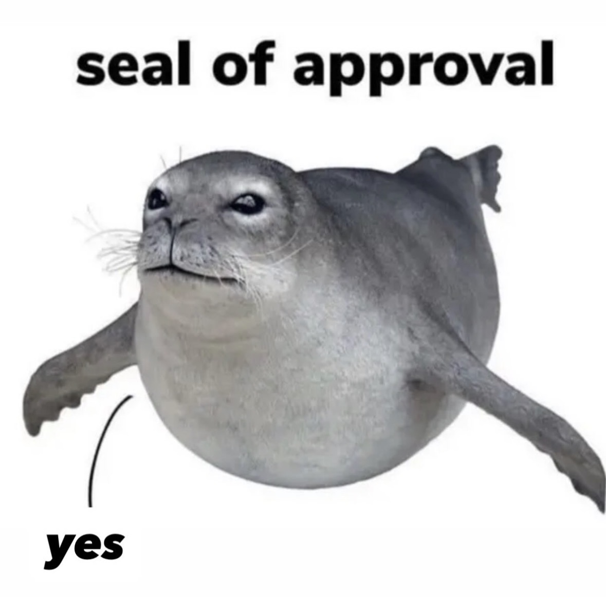 RespectfulMemes's tweet photo. https://t.co/wPOnHHMaow