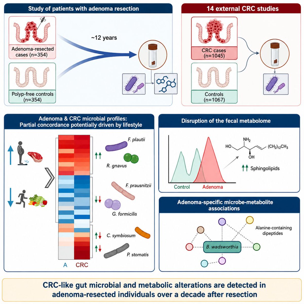Microbiome2027's tweet photo. 🦠 Can the gut microbiome remain altered years after polyp removal?
New research suggests gut microbiome changes may persist for 12+ years, potentially influencing colorectal cancer risk even after adenoma removal.

📝https://t.co/D1Usb0bU2m
#GutMicrobiome #GMC2027 #CallForPapers https://t.co/crvOTM9xVw