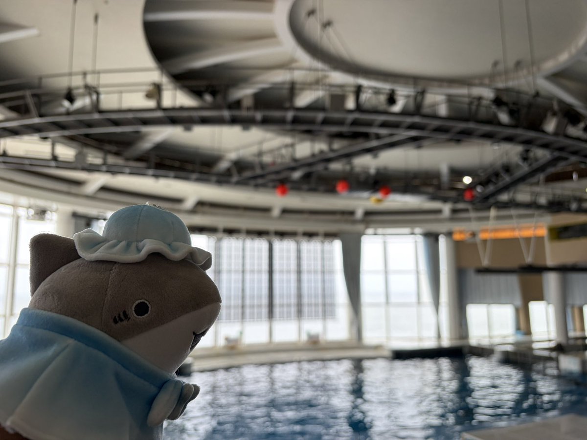 sihtniry's tweet photo. 二年前からずっと行きたいと思ってた水族館に来ました🦈
#子ザメとまいにち https://t.co/iFlL2fChQ8