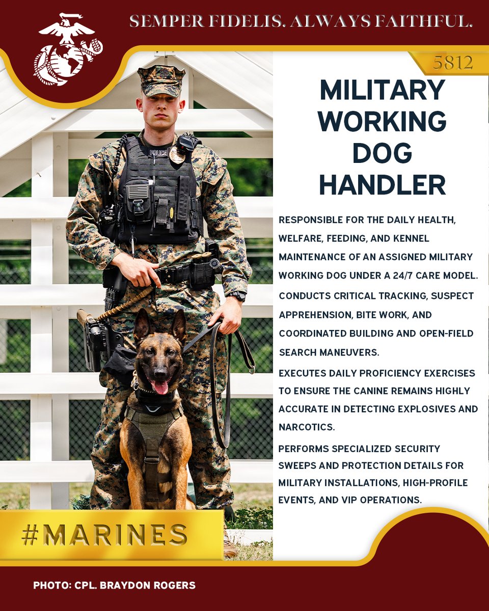 USMC's tweet photo. #Marines serving in the Military Occupational Specialty (MOS) 5812, Military Working Dog Handler, utilize specialized canine teams to enhance security, detect threats (explosives/narcotics), and take part in law enforcement operations to protect Marine Corps installations and personnel worldwide. 

#Military #USMC