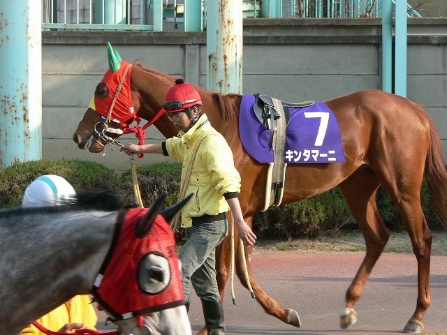 bozu_108's tweet photo. 競馬に対して疑問に思ってること選手権

入賞
名前のセン��が面白いけど、どこまで許されるんだろう https://t.co/IDCCuDwYgz