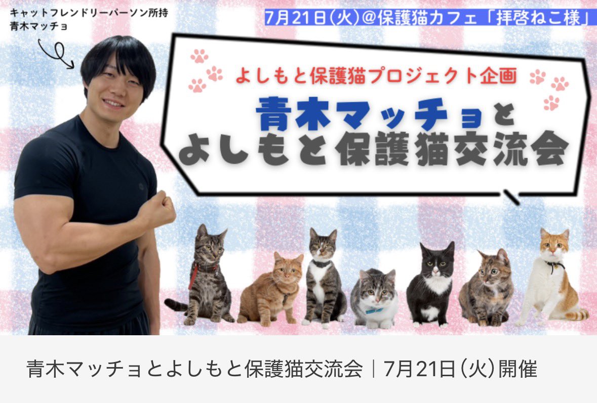 haikeinekosama's tweet photo. #青木マッチョ 7回目の #よしもと保護猫交流会
7/21（火）18:30開催決定🐈‍⬛

青木マッチョさんと阿佐ヶ谷の保護猫カフェ #拝啓ねこ様 で交流会！

本日18:00販売ページ公開
https://t.co/i8TYzI23qM

芸人さんが猫カフェが閑散とする時間に
イベントで保護猫支援するのを目的に開催する優しいイベント🙇‍♀️ https://t.co/CtsDq78liS